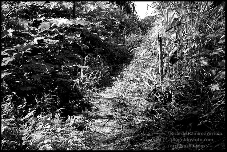 03RicardoRamirezArriola0238