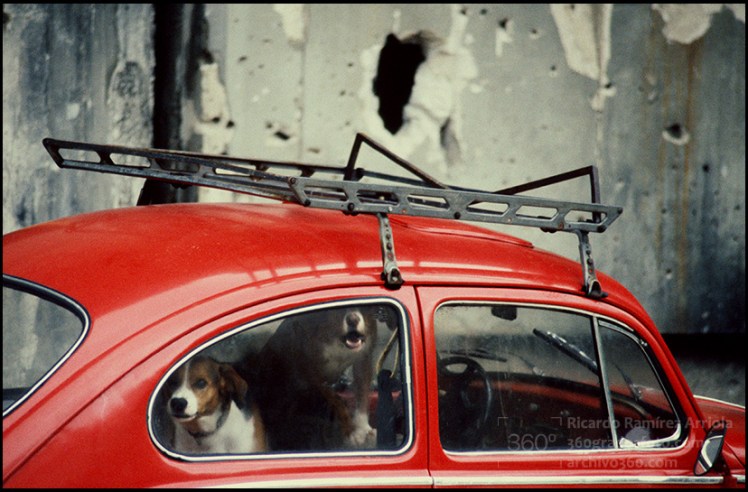 RicardoRamirezArriola1301073