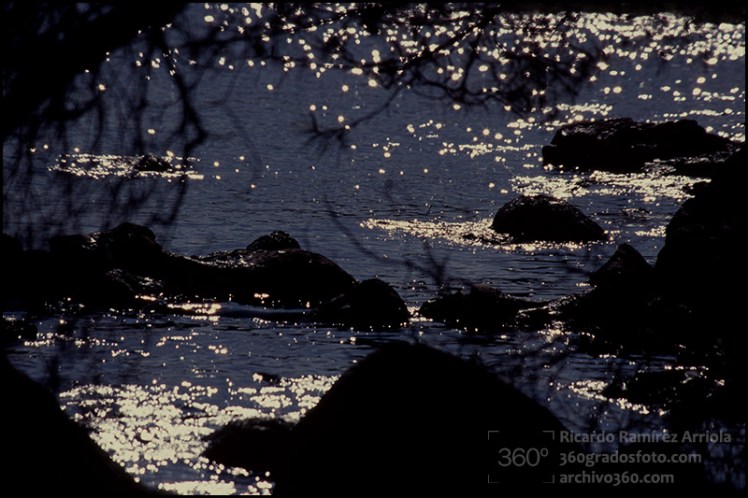 RicardoRamirezArriola130109-059