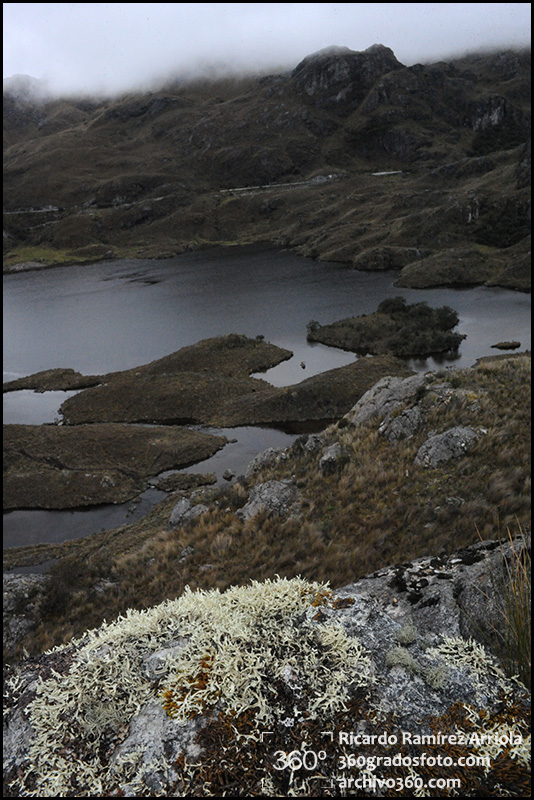 RicardoRamirezArriola0113