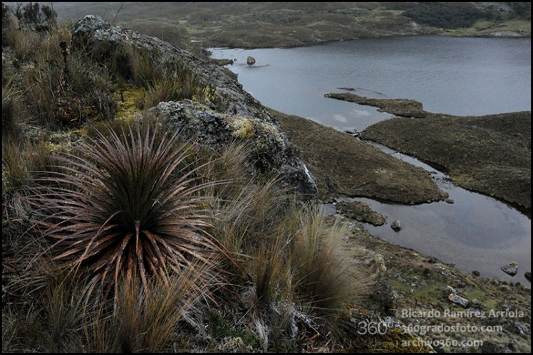 RicardoRamirezArriola0297