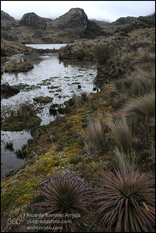 RicardoRamirezArriola0385