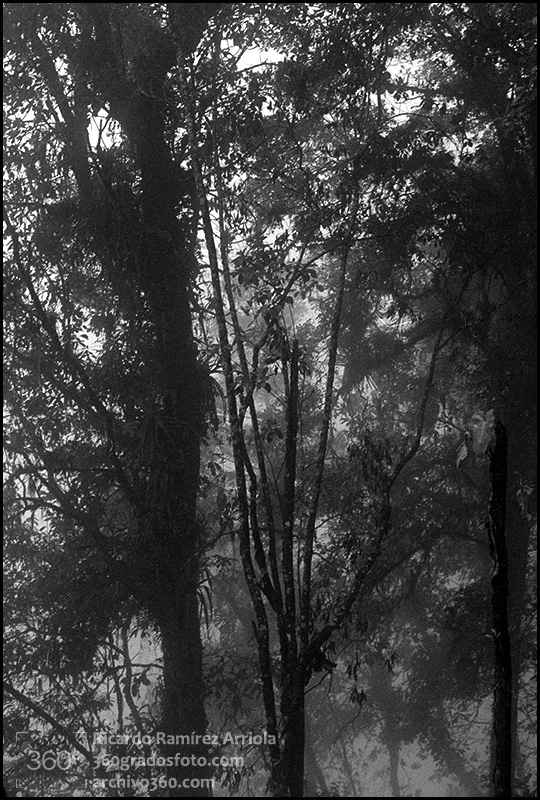 01RicardoRamirezArriola008b