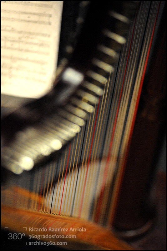 01RicardoRamirezArriola7188