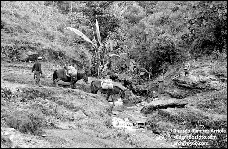 03RicardoRamirezArriola0016b