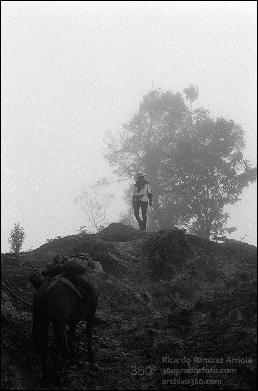 04RicardoRamirezArriola0014b