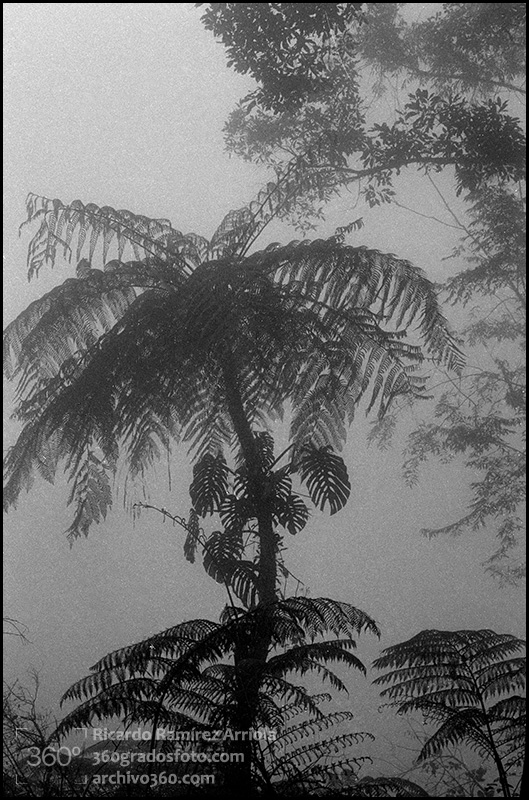 10RicardoRamirezArriola0015b