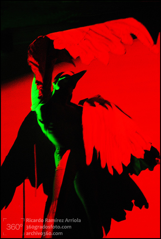 RicardoRamirezArriola0193