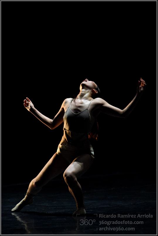 01RicardoRamirezArriola3597