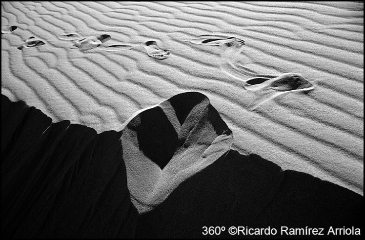 036RicardoRamirezArriola