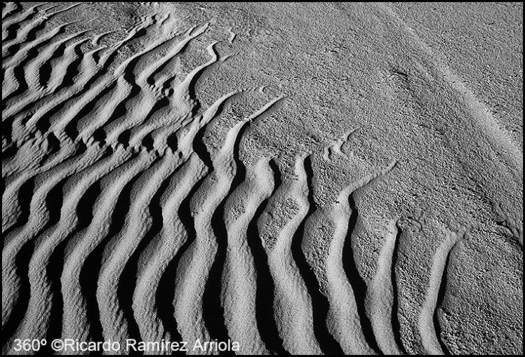 037RicardoRamirezArriola