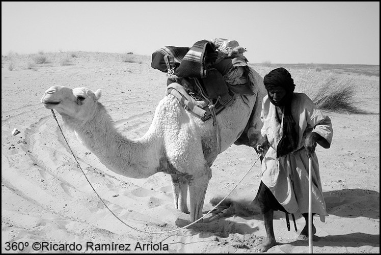 040RicardoRamirezArriola