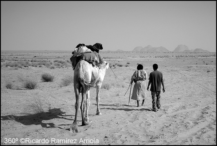 042RicardoRamirezArriola