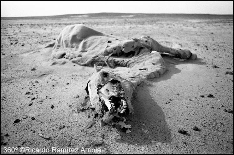 044RicardoRamirezArriola