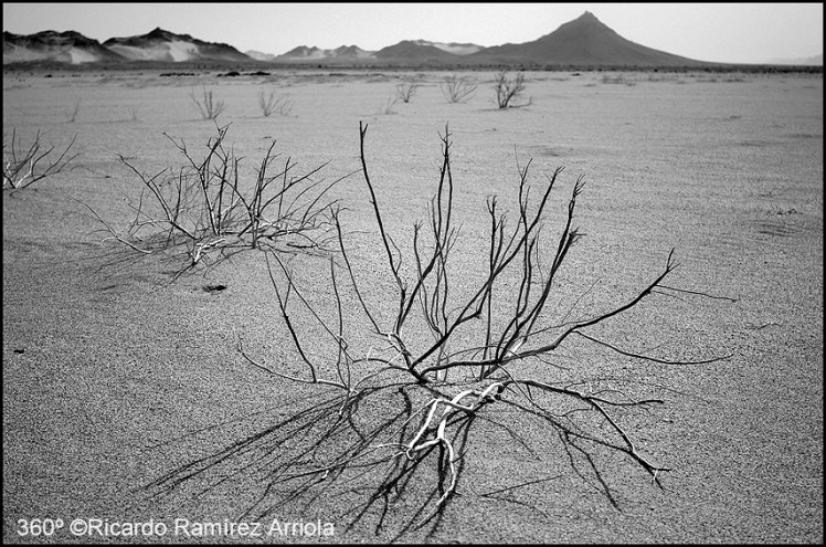 045RicardoRamirezArriola