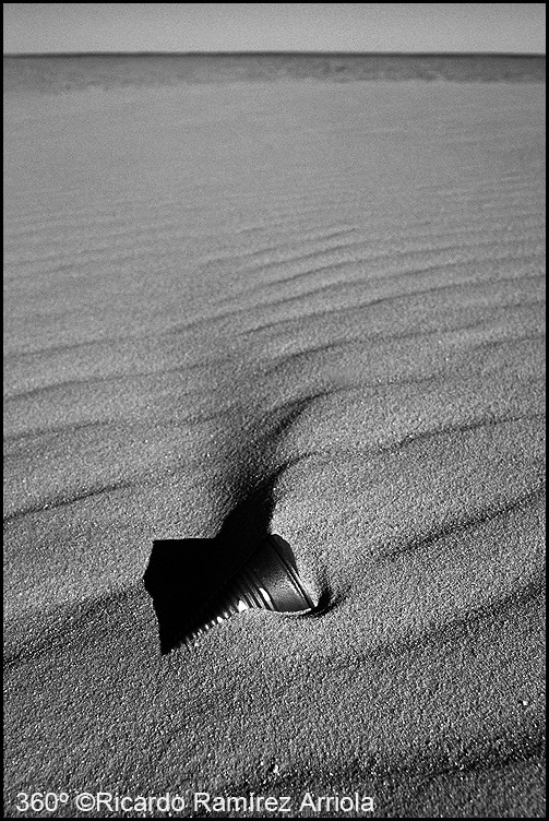 050RicardoRamirezArriola