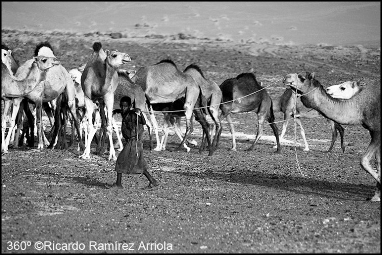 052RicardoRamirezArriola