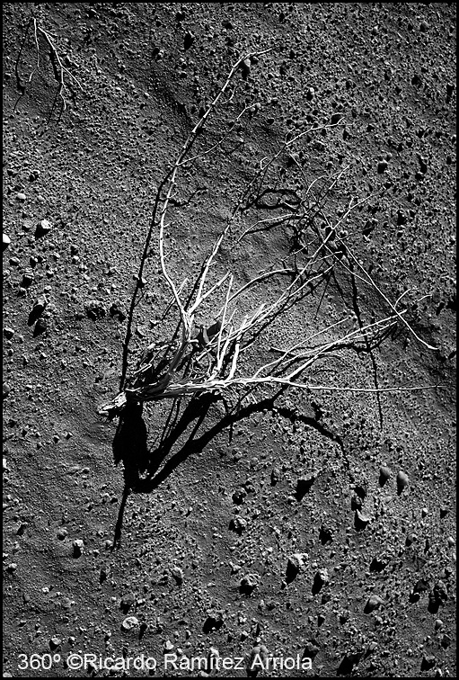 059RicardoRamirezArriola