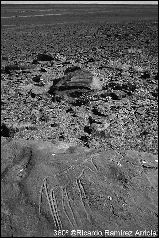 061RicardoRamirezArriola