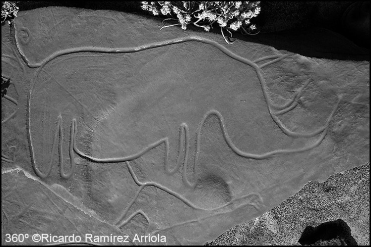 062RicardoRamirezArriola