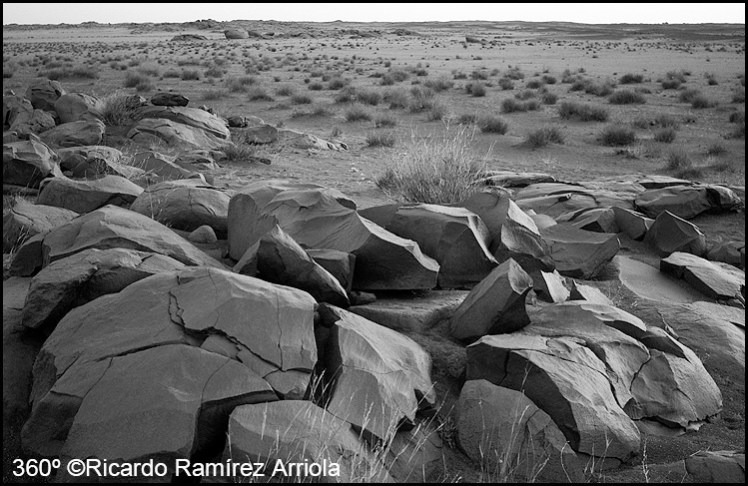 063RicardoRamirezArriola