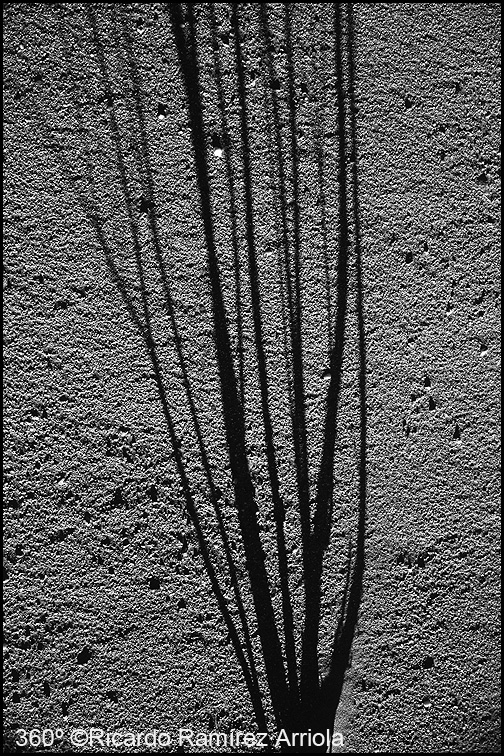 066RicardoRamirezArriola