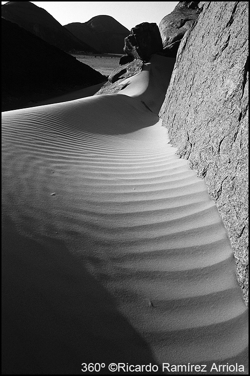 071RicardoRamirezArriola