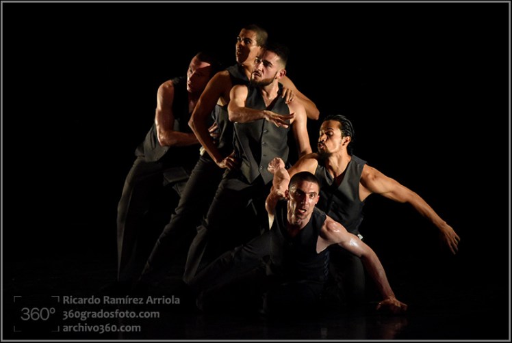 RicardoRamirezArriola3369