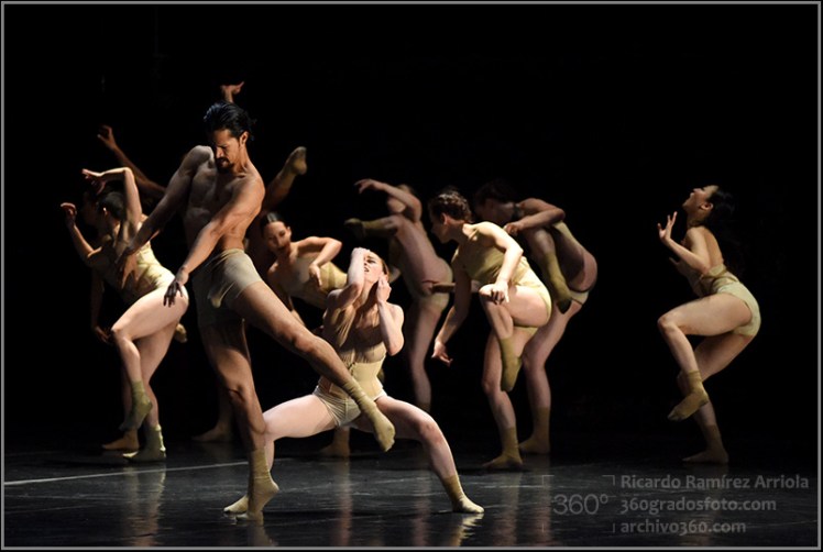 RicardoRamirezArriola3486