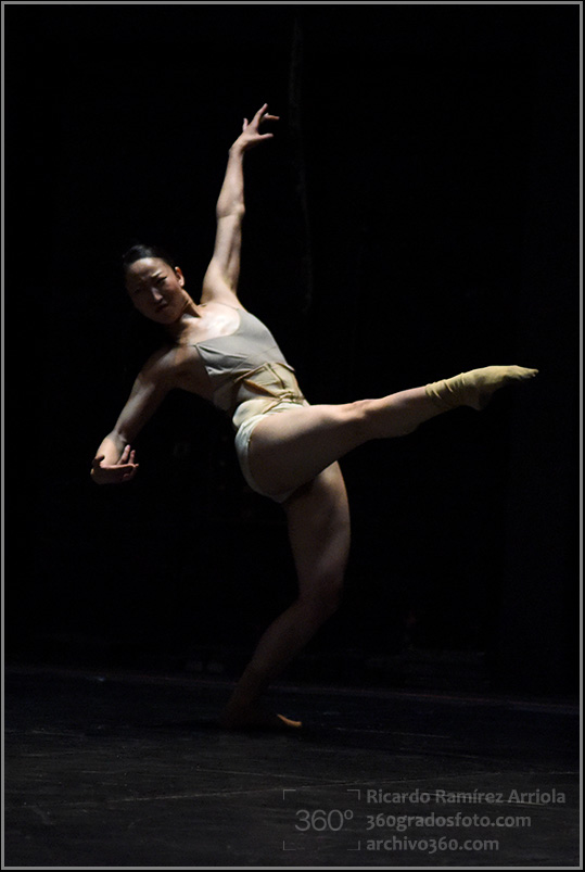 RicardoRamirezArriola3621