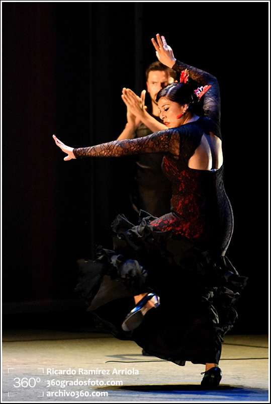 RicardoRamirezArriola5206