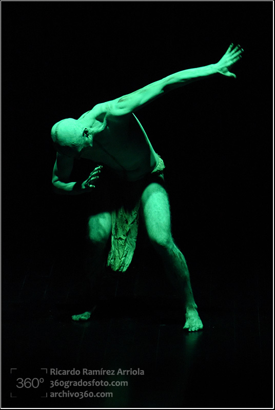 RicardoRamirezArriola8843