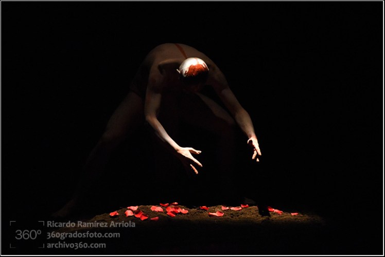 RicardoRamirezArriola8932