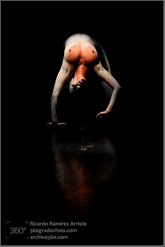 RicardoRamirezArriola9014