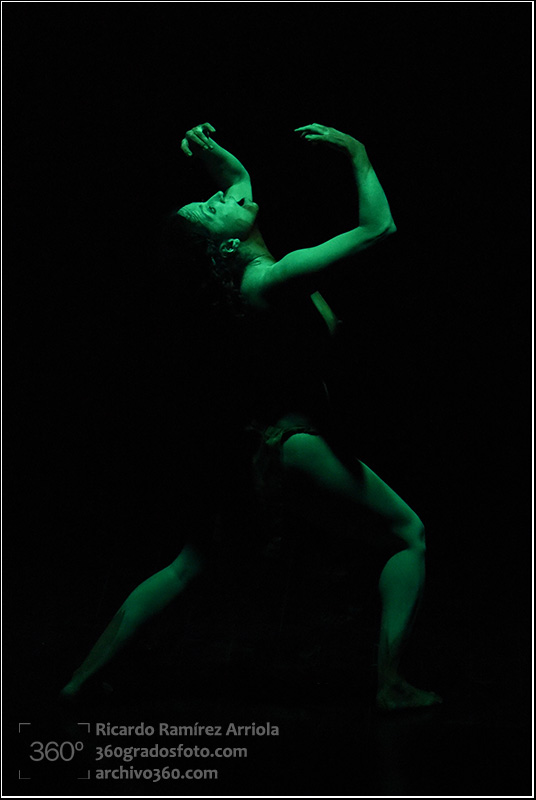 RicardoRamirezArriola9038