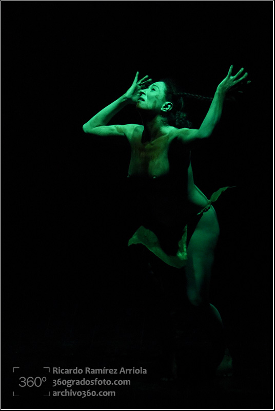 RicardoRamirezArriola9042