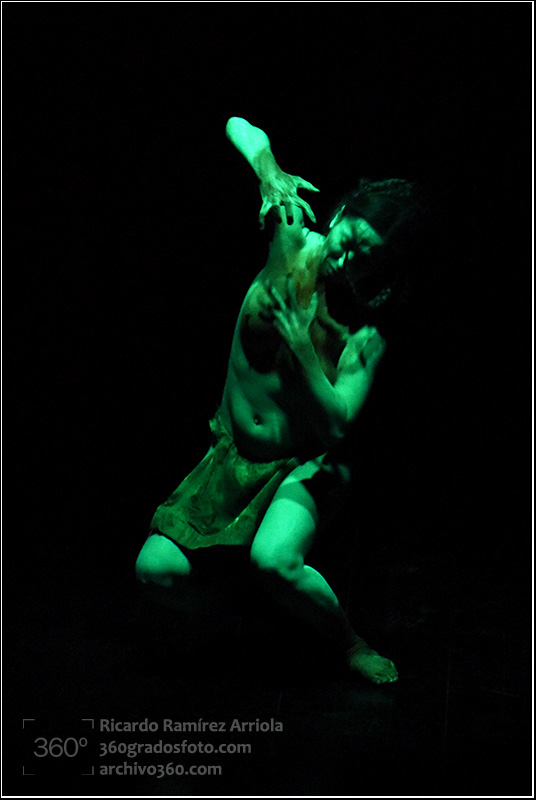 RicardoRamirezArriola9056