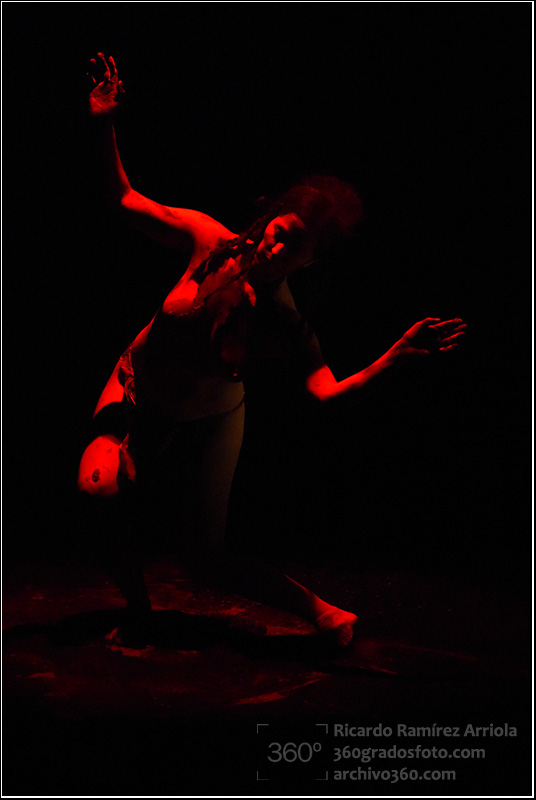 RicardoRamirezArriola9182