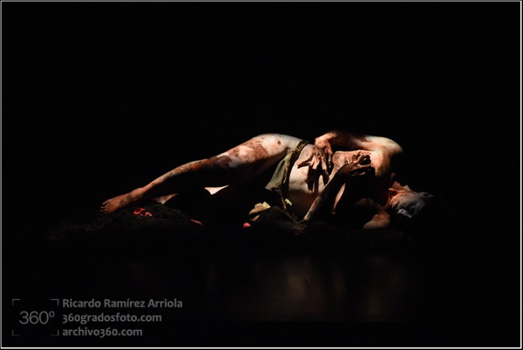 RicardoRamirezArriola9246