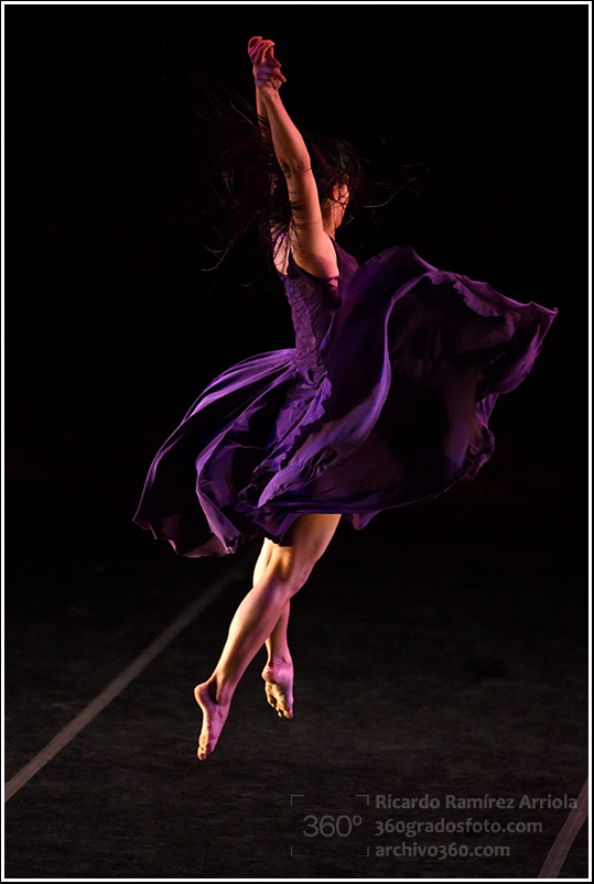 00RicardoRamirezArriola7364