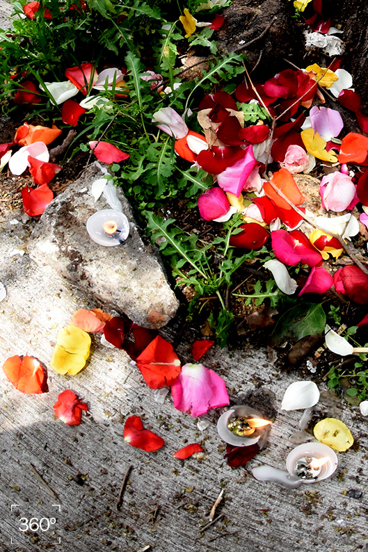 02RicardoRamirezArriola-3718