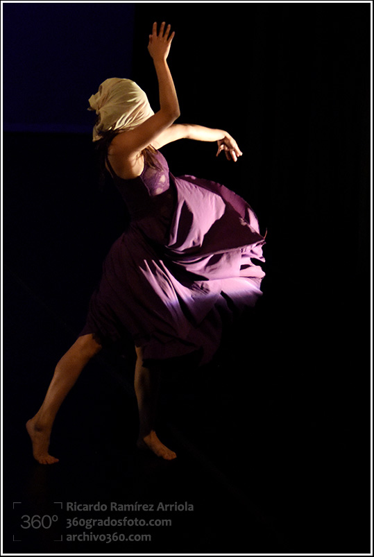 09RicardoRamirezArriola7135