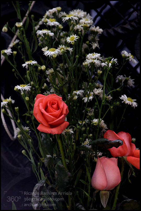 10RicardoRamirezArriola2682