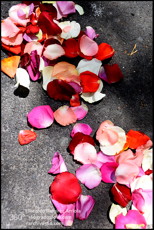 13RicardoRamirezArriola2822