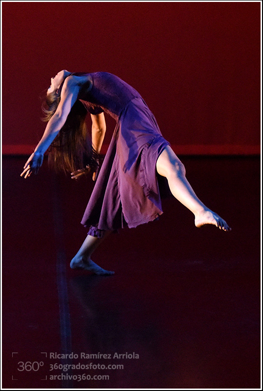 13RicardoRamirezArriola7274