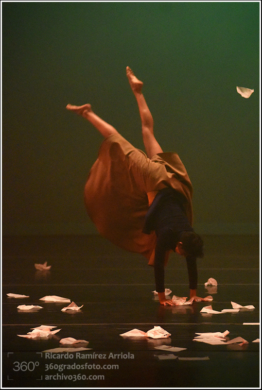 RicardoRamirezArriola4181