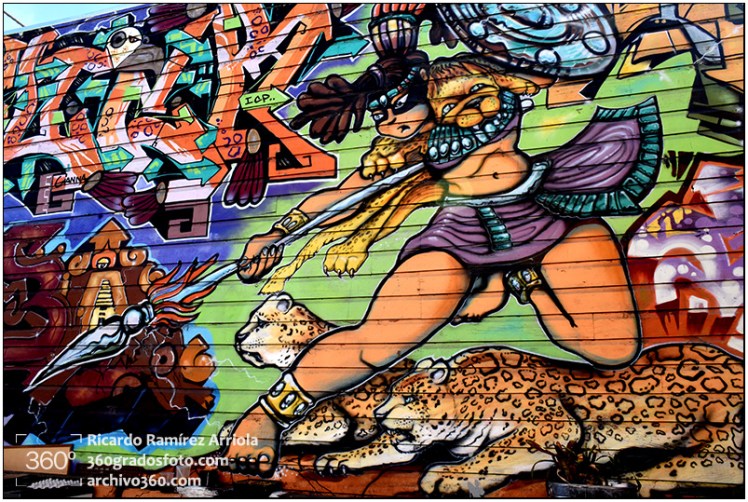 RicardoRamirezArriola6596