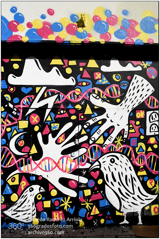 RicardoRamirezArriola6810