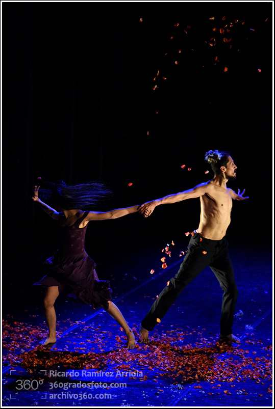 RicardoRamirezArriola7413