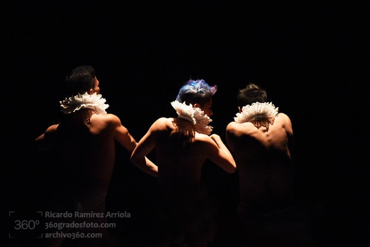 01RicardoRamirezArriola-8918